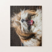 Shih tzu yawning laughing funny cute ジグソーパズル (縦)