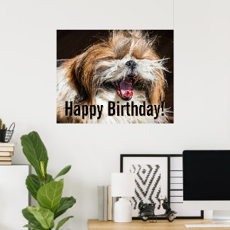 Shih tzu yawning laughing funny Happy birthday  ポスター