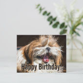 Shih tzu yawning laughing funny Happy birthday  ポストカード (スタンド正面)