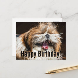 Shih tzu yawning laughing funny Happy birthday ポストカード
