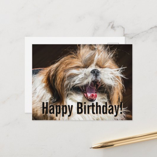 Shih tzu yawning laughing funny Happy birthday  ポストカード (正面/裏面インサイチュ)