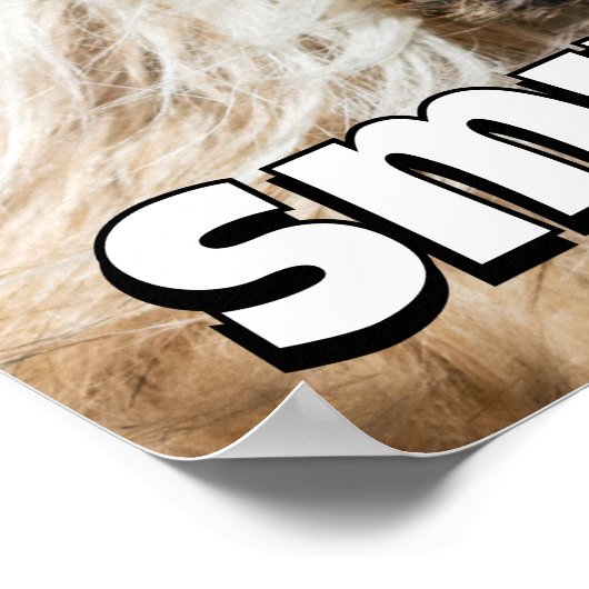 Shih tzu yawning laughing smile text customize ポスター (角)