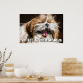 Shih tzu yawning laughing smile text customize ポスター (キッチン)