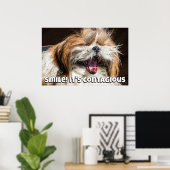 Shih tzu yawning laughing smile text customize ポスター (ホームオフィス)