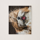 Shih tzu yawning tongue funny cute ジグソーパズル (縦)