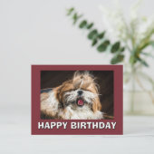 Shih tzu yawning tongue funny cute Happy birthday ポストカード (スタンド正面)