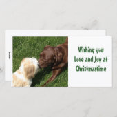 Shihtzu及びChocの実験室犬のクリスマスの接吻 シーズンカード (正面/裏面)