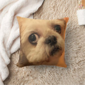 Shihtzu クッション (ブランケット)