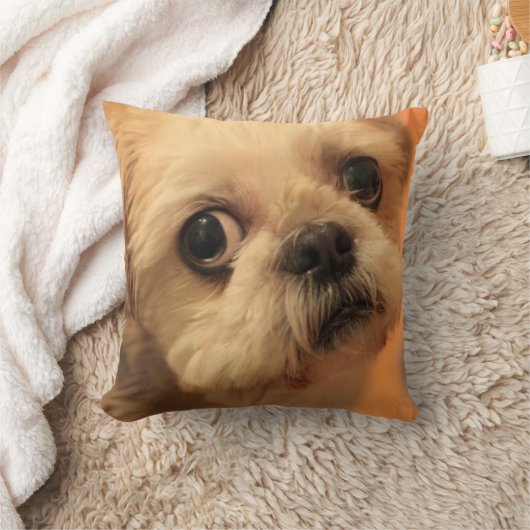 Shihtzu クッション (ブランケット)