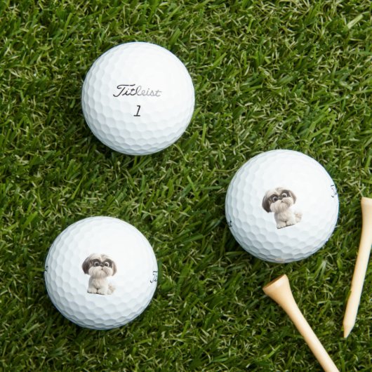 Shihtzu Golf Balls ゴルフボール (インサイチュ 芝生)