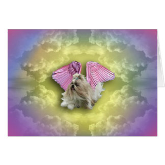 shihtzugoddessは天国から降ります