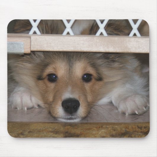 Shilohのマウスパッド マウスパッド (正面)