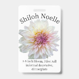 Shiloh Noelle ダリア ID バッジ
