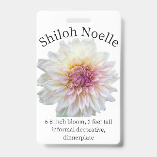 Shiloh Noelle ダリア ID バッジ
