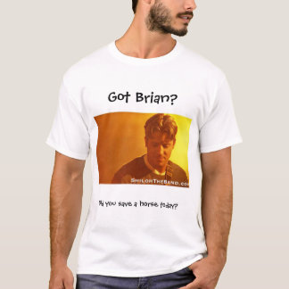 Shiloh STのワイシャツ Tシャツ