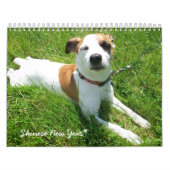 Shineseのカレンダー カレンダー (カバー)