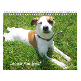 Shineseのカレンダー カレンダー