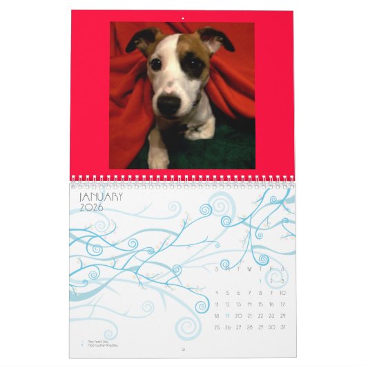 Shineseのカレンダー カレンダー (1月 2026)