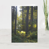 Shining Light - Folded Greeting Card カード (正面)