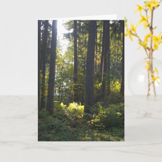 Shining Light - Folded Greeting Card カード (黄色い花)