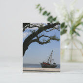 Ships Ahoyポストカード ポストカード (スタンド正面)