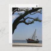 Ships Ahoyポストカード ポストカード (正面/裏面)