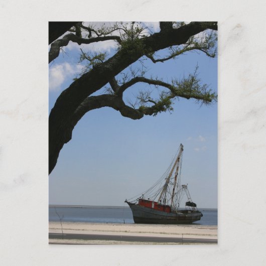 Ships Ahoyポストカード ポストカード (正面)