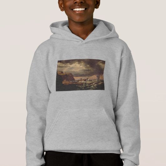 Shipwreck on the Norwegian Coast by Johan Dahl  (正面)