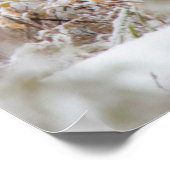 Shiras Bull Moose ポスター (角)