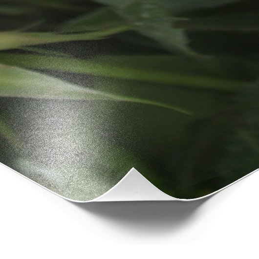 Shirdi Sai Baba フォトプリント (角)