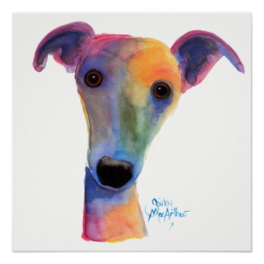 Shirley MacArthurによるNosey Dog 'パンジー ポスター (正面)