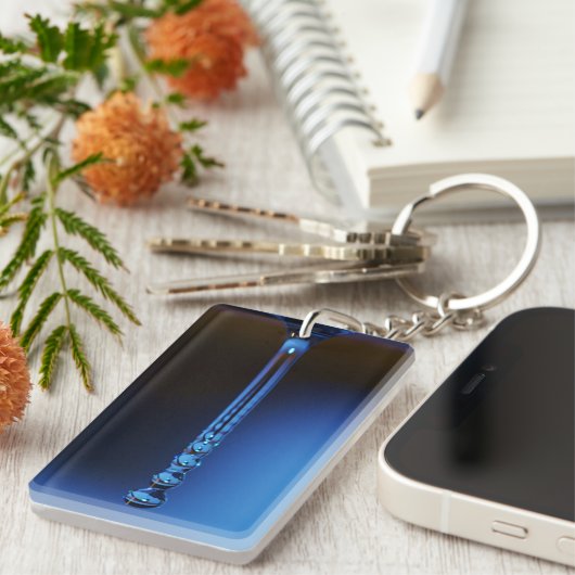 Shirley Taylorがドロップするストリーム キーホルダー (正面右)