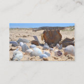 Shirley Taylorによるビーチの貝殻 名刺 (正面)