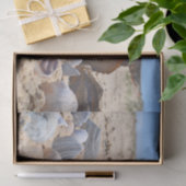 Shirley Taylorによるビーチの貝殻 薄葉紙 (ギフト)