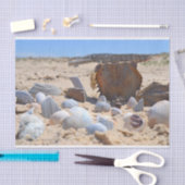 Shirley Taylorによるビーチの貝殻 薄葉紙 (クラフト)