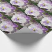 Shirley Taylorによる紫と白のビオラ ラッピングペーパー (角)
