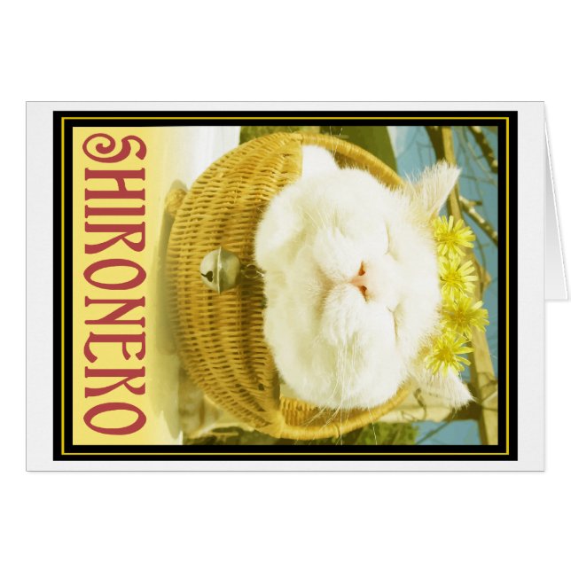 Shironekoかバスケット猫 (正面横)