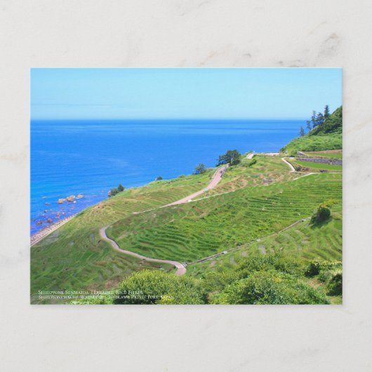 Shiroyone Senmaida Terraced Rice Fields：Postcard ポストカード (正面)