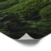 Shisendo Temple - Kyoto Japan ポスター (角)