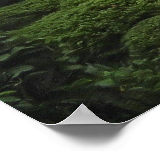 Shisendo Temple - Kyoto Japan ポスター (角)