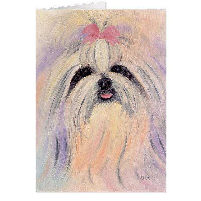 Shitzuの本質 (正面)