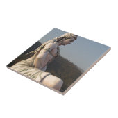 Shiva タイル (側面)