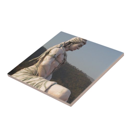 Shiva タイル (側面)