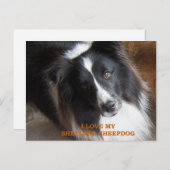 shland sheepdog黒白の愛w pic ポストカード (正面/裏面)