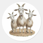 Shocked Goats Trio ラウンドシール (正面)