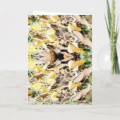 Shocked squirrel Birthday   カード (裏面)