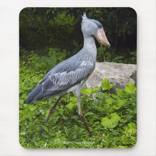 Shoebill マウスパッド (正面)