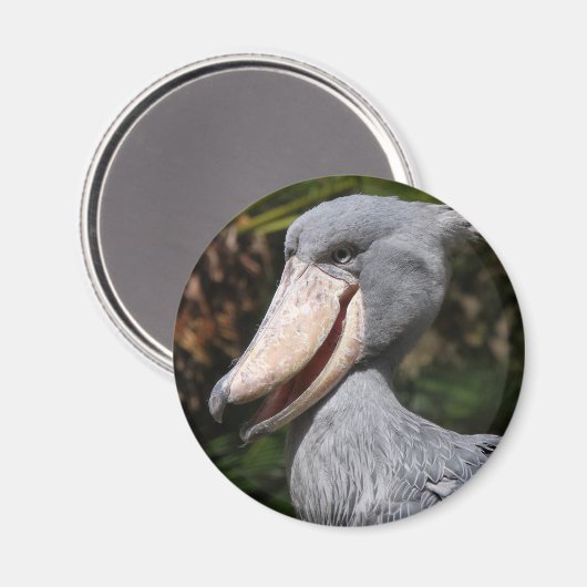 Shoebill マグネット (正面/裏面)