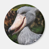 Shoebill マグネット (正面)