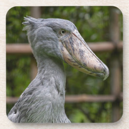 Shoebill (Balaenicepsレックス) コースター